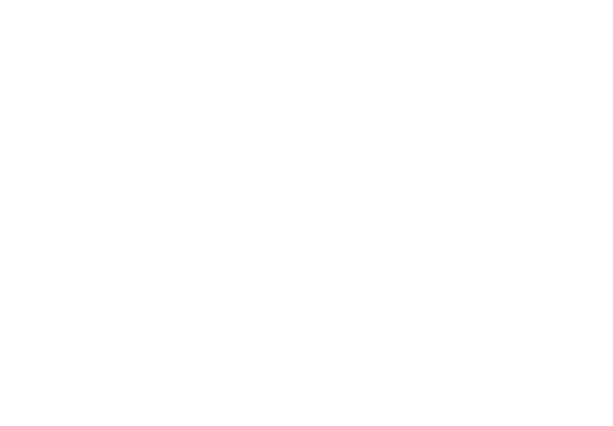 Team for the Planet